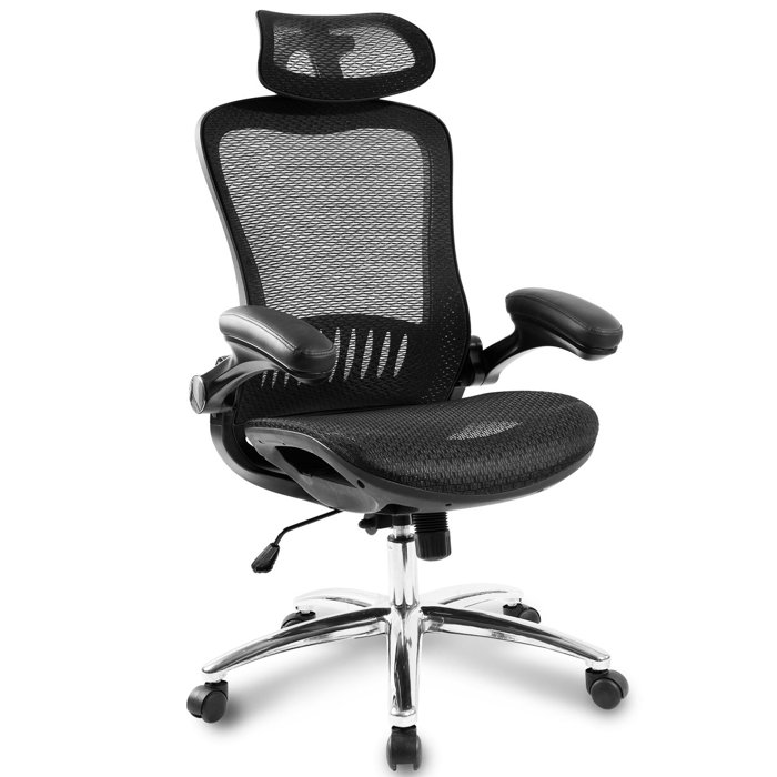 Symple Stuff Estes Mesh Task chair & Reviews Wayfair